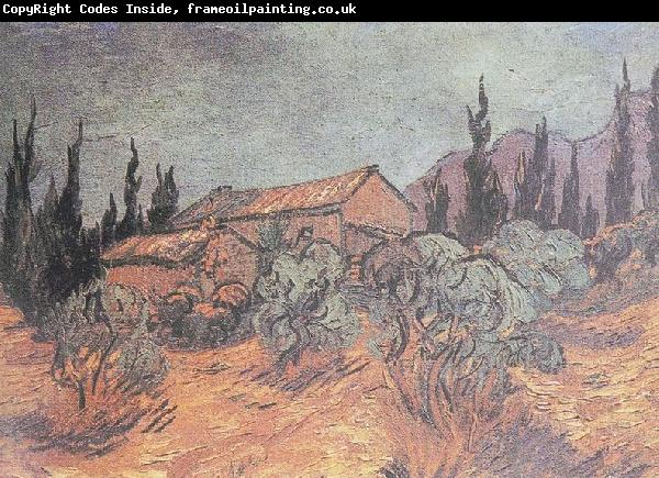 Vincent Van Gogh Huts surrounded by olive trees and cypresses